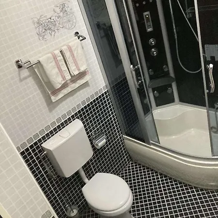 Апартаменты Hana Apartman's Подгорица
